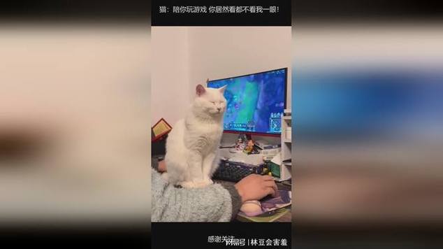 女生让我陪她打游戏图标