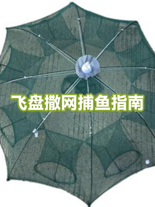 飞盘鱼网的使用方法视频