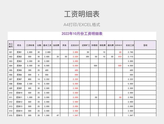 个人工资条明细表截图