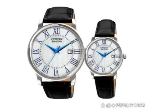 中国名表排名前十名截图