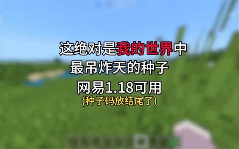 网易我的世界贝爷种子截图