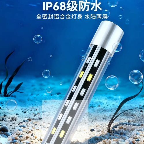 鱼缸灯可以一直开着吗缩略图
