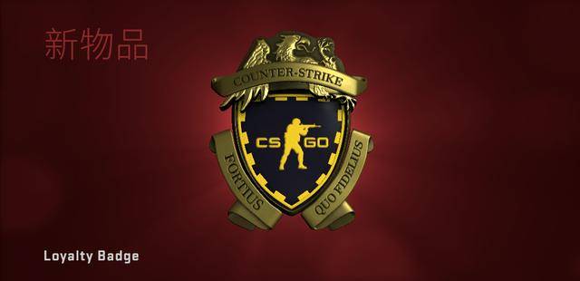 csgo忠诚徽章的意义截图