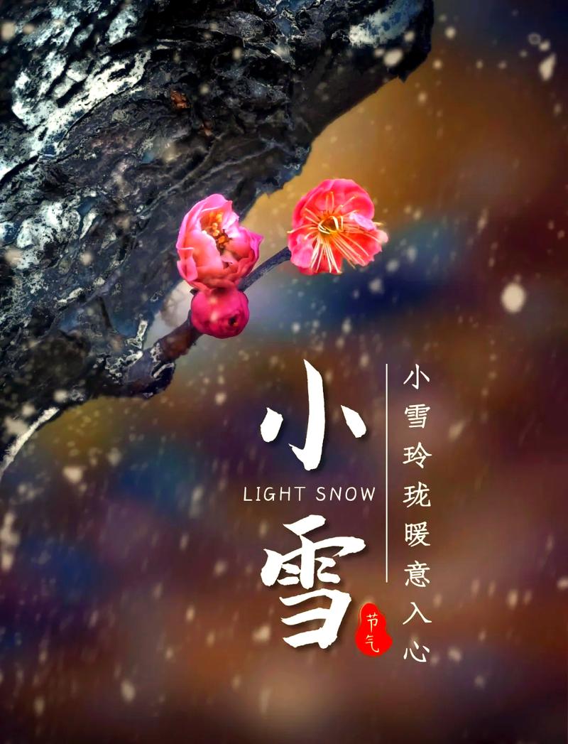 御龙在天小雪