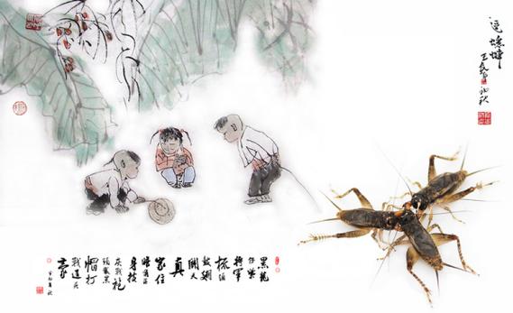 斗蟋蟀视频 斗蟋蟀集锦