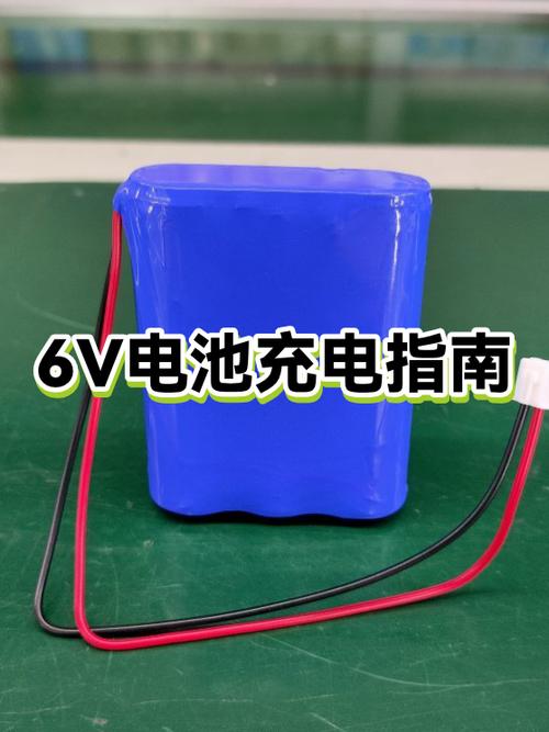 电瓶充电器充满电会自动停吗缩略图