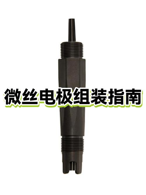 简述微丝组装的过程图标