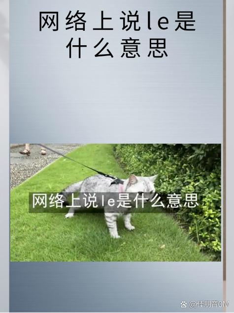 LE代表什么缩写