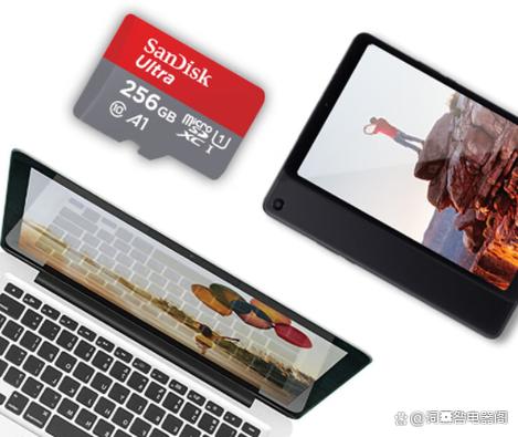 十大内存卡品牌排行榜游戏截图