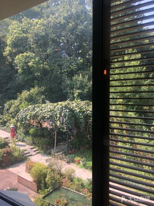 森林看不到状态栏截图