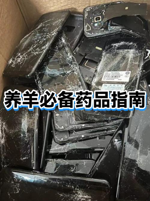 养羊必吃三种药截图