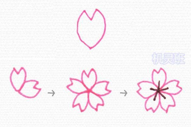 樱花笔使用方法截图