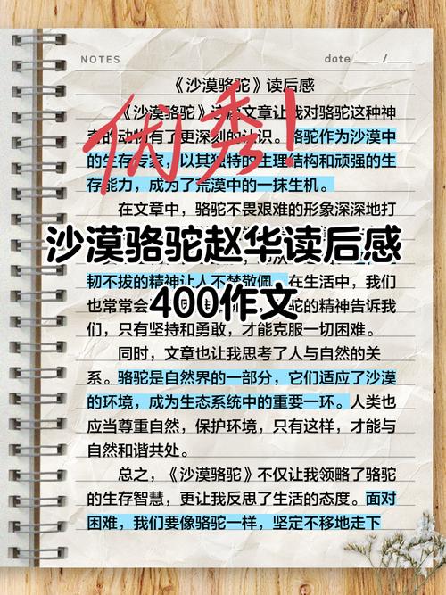 沙漠风暴全文阅读截图