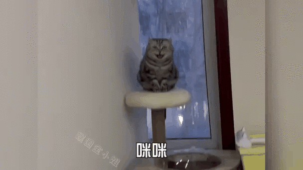 我跟你说我现在就这个表情图标