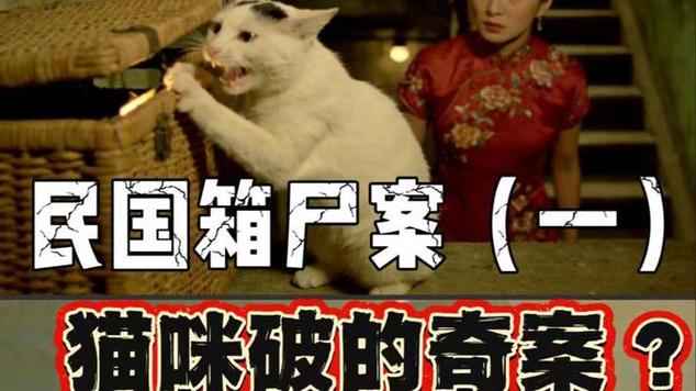 猫咪侦探在破案缩略图