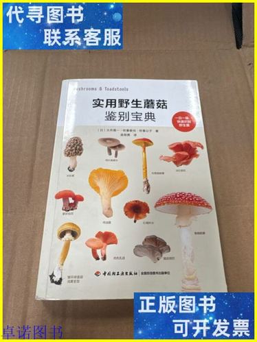 泰拉瑞亚蘑菇种子地图