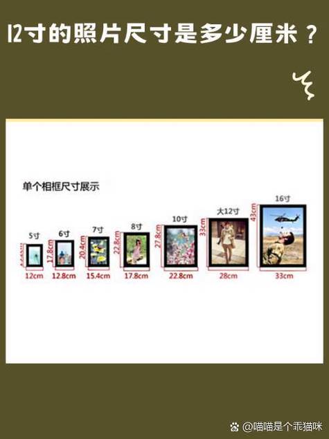 8寸12寸16寸照片尺寸