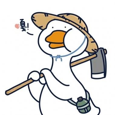 Q版鸭子头像