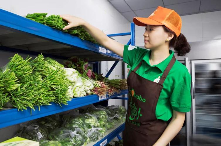 呆萝卜还会营业吗游戏截图