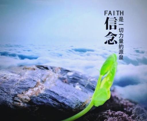 心念交友app图标