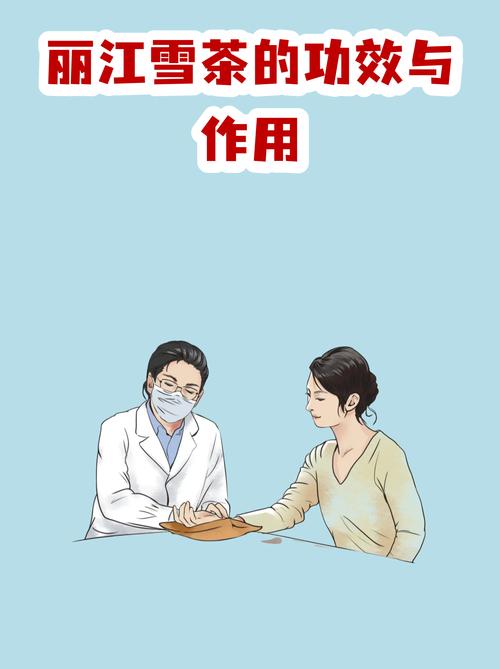 雪花辅助内部群截图