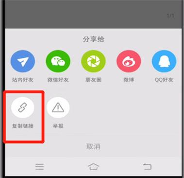 小红书主页链接怎么复制缩略图