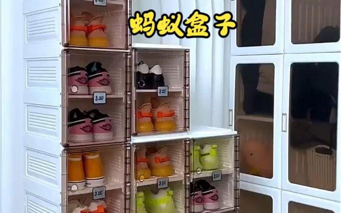 蚂蚁盒子打字录入平台图标