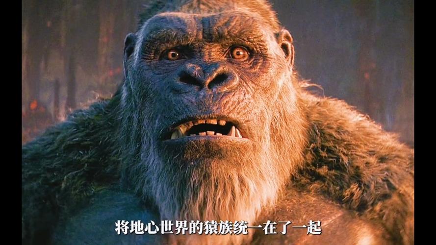 金刚国语图标