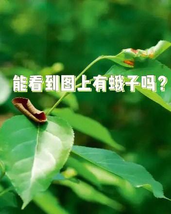 word打开不显示修订标记