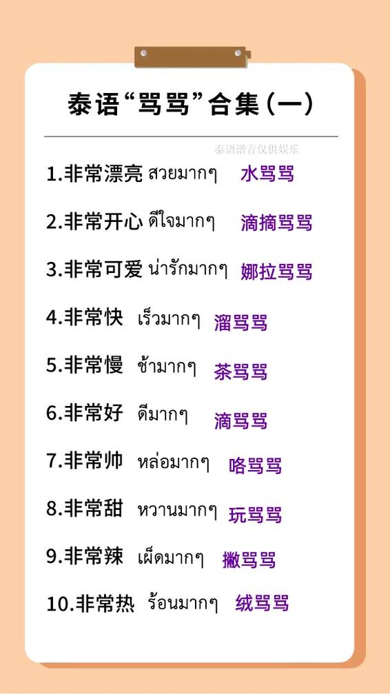 骂别人sz是什么意思