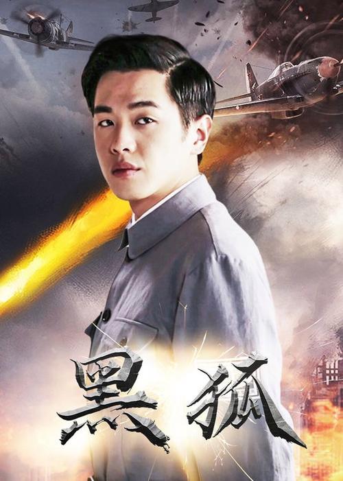 黑狐电视剧在线观看免费版
