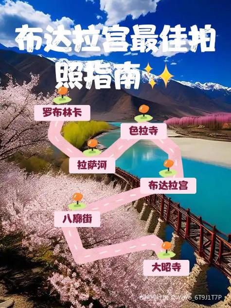 单反相机按哪个键拍照截图