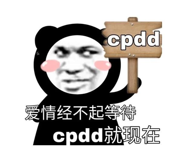cpdd是什么意思回复dd是什么意思缩略图