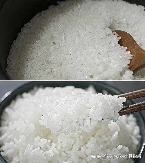 电饭煲煮米饭要多久图标