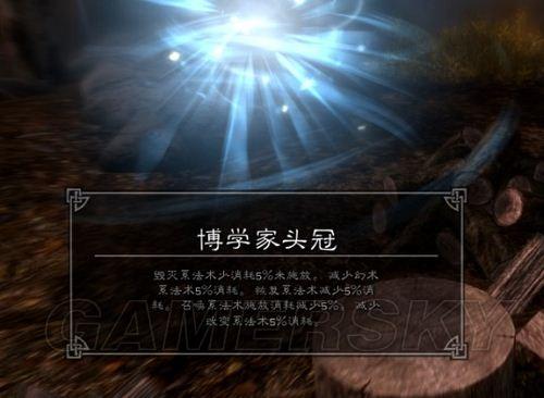 上古卷轴5点燃术耗魔