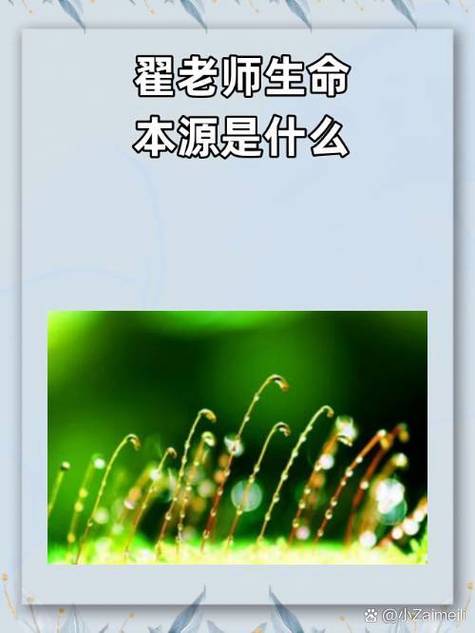 中医认为生命的本源是什么截图
