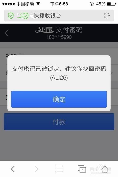 支付宝密码被别人知道截图