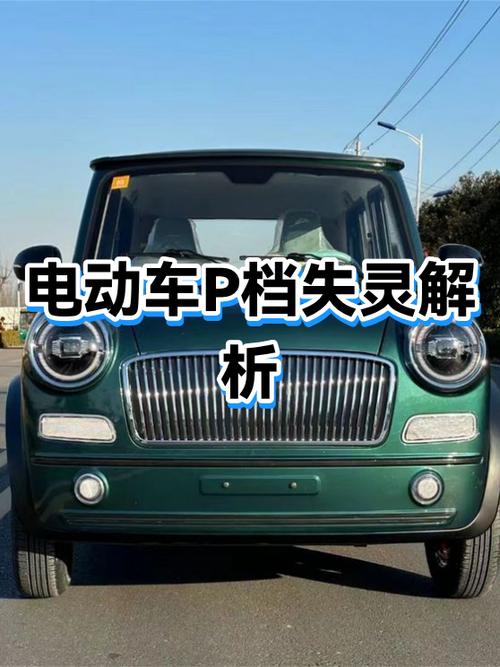新蕾电动车解除p档步骤详解图标