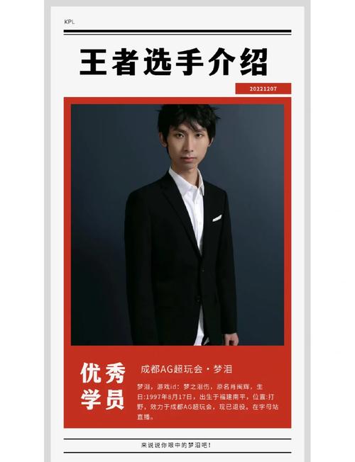 梦泪还是职业选手吗图标