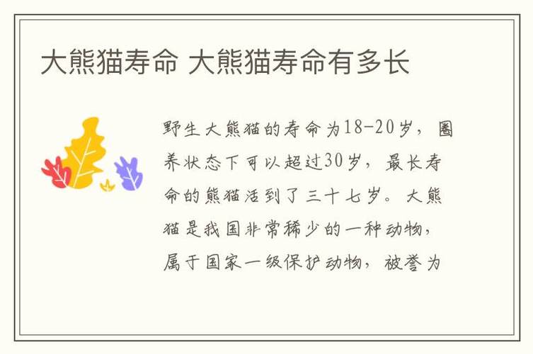 大熊猫能活多少年缩略图