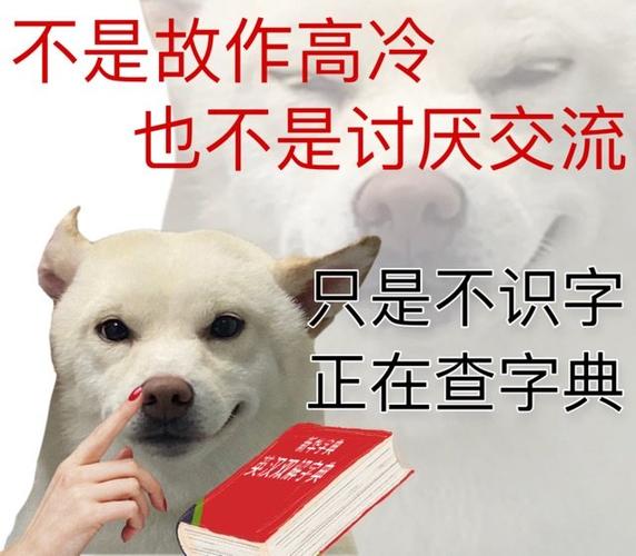 打出来的字变成表情包软件游戏截图
