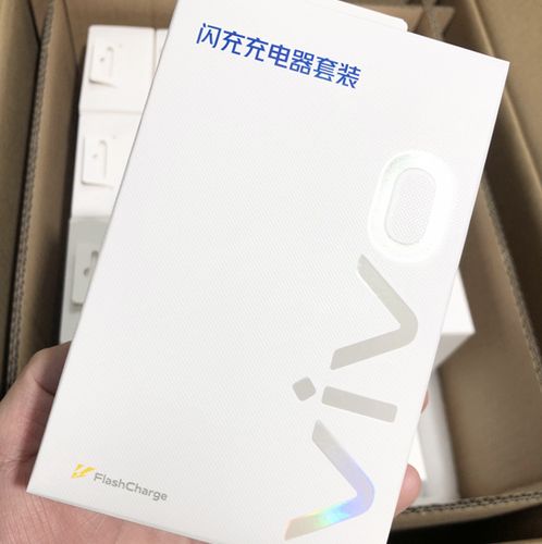 vivo 原装闪充充电器