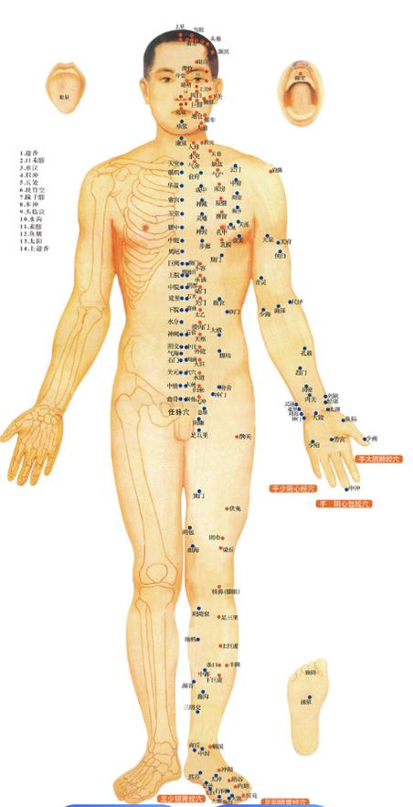 人体针灸图片大全图解截图