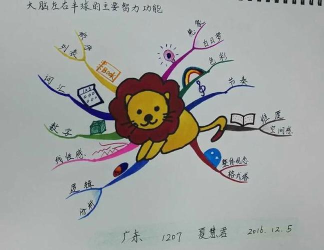 xmind思维导图怎么左右都有缩略图