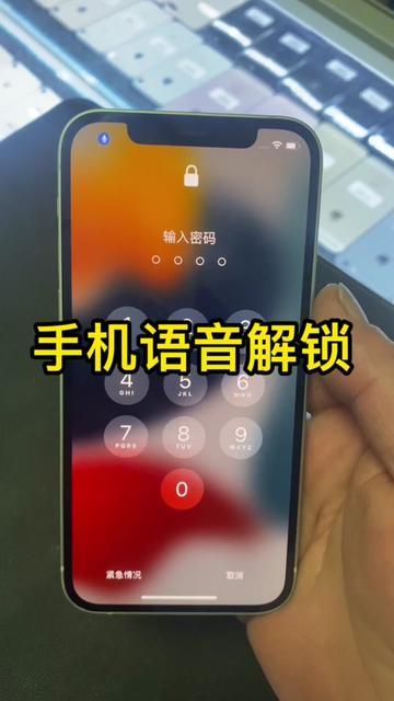 语音系统被占用怎么解除截图