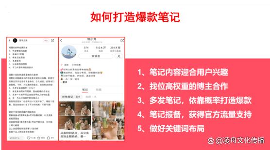 怎么在小红书里找人气最高笔记截图