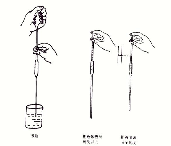 移液枪的正确使用方法