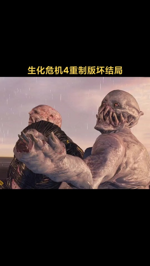 生化危机4黑屏