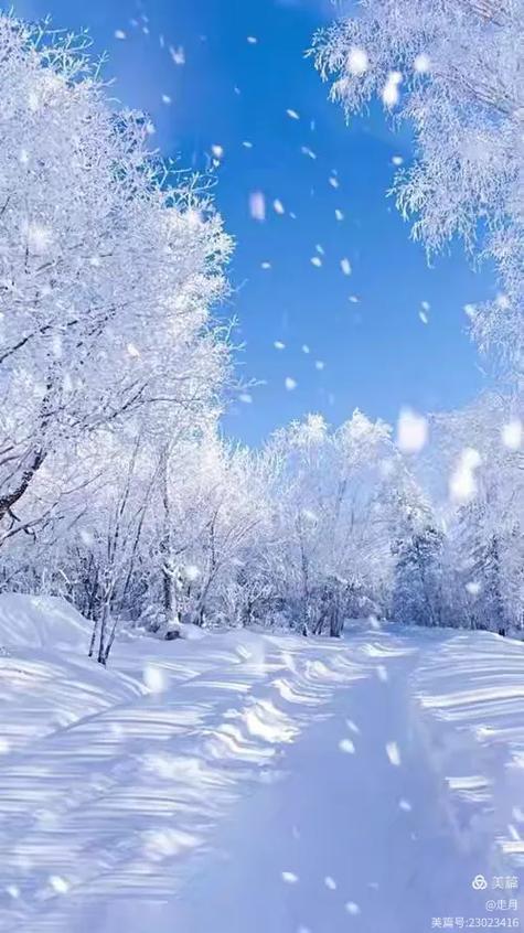 雪花飘免费观看策驰影院缩略图