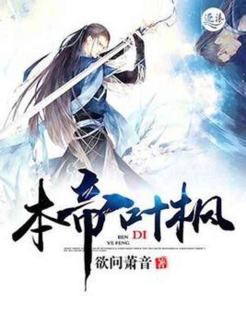 叶枫小说名字图标